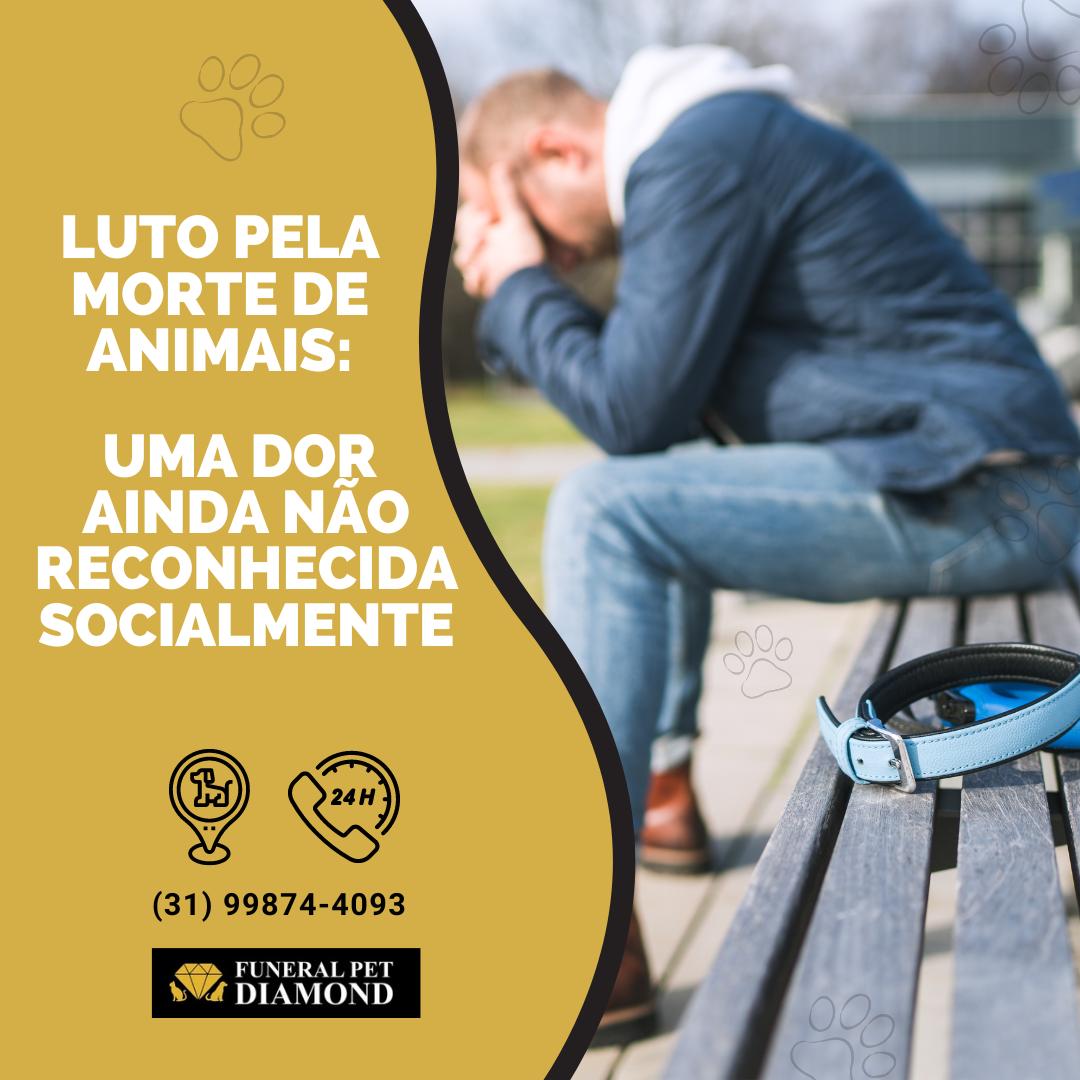 Luto pela morte de animais: uma dor ainda não reconhecida socialmente