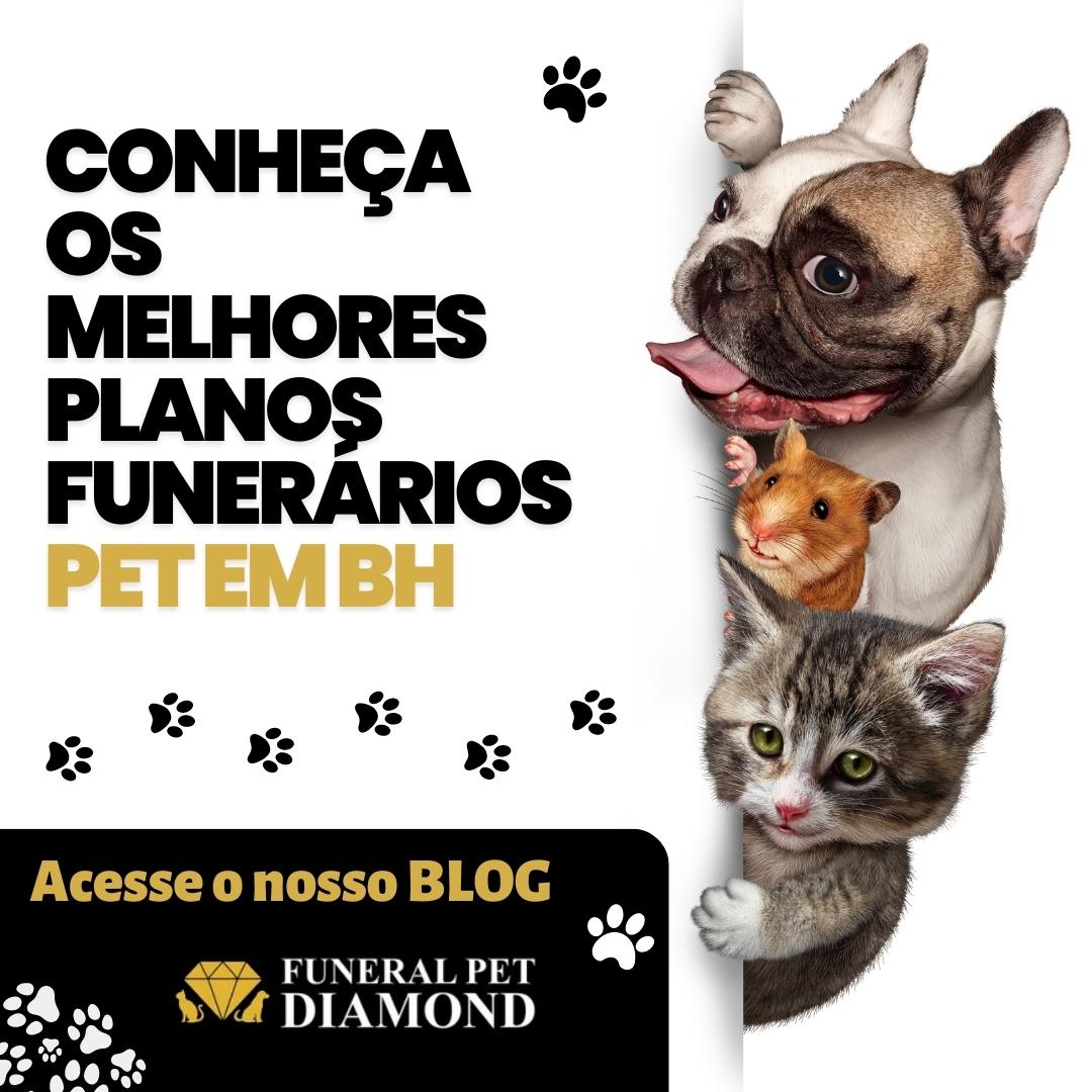 Conheça os Melhores Planos Funerários Pet em BH