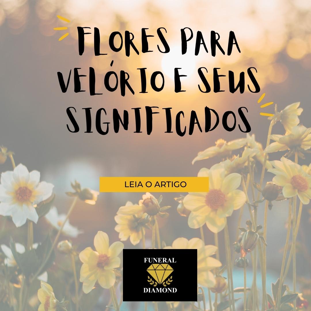 Flores para velório e seus significados