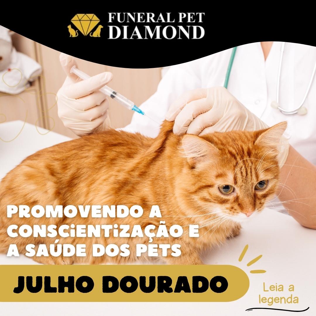 Julho Dourado: Promovendo a Conscientização e a Saúde dos Pets