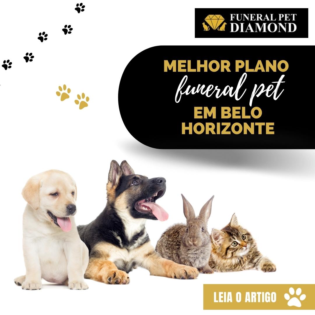 Melhor plano funeral pet em Belo Horizonte