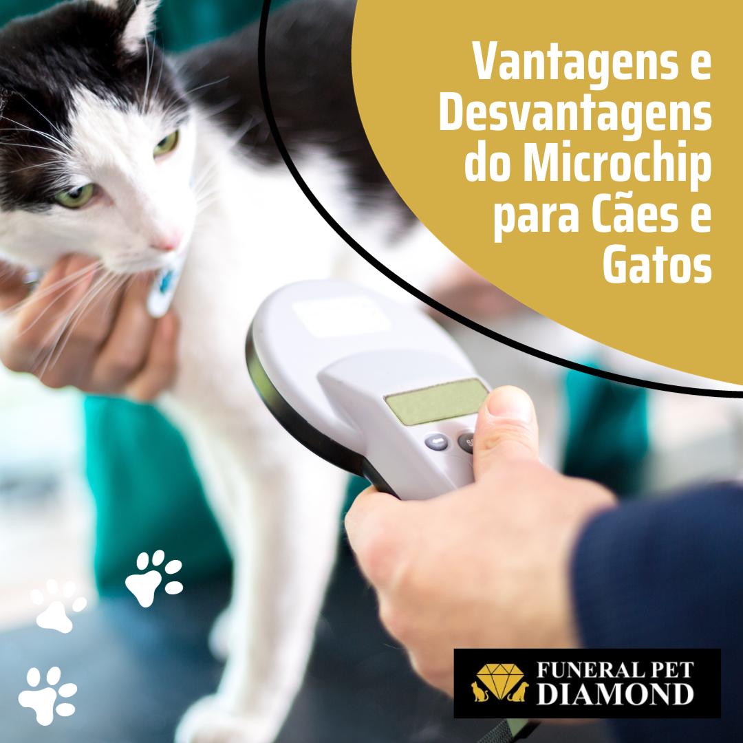 Vantagens e Desvantagens do Microchip para Cães e Gatos